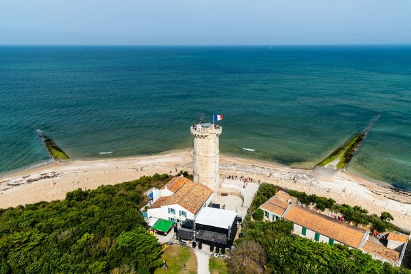 Quels sont les meilleurs conseils pour une croisière d'observation des baleines dans le détroit de Magellan, Chili?